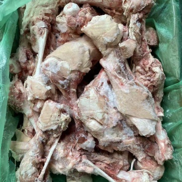 6001后腿骨