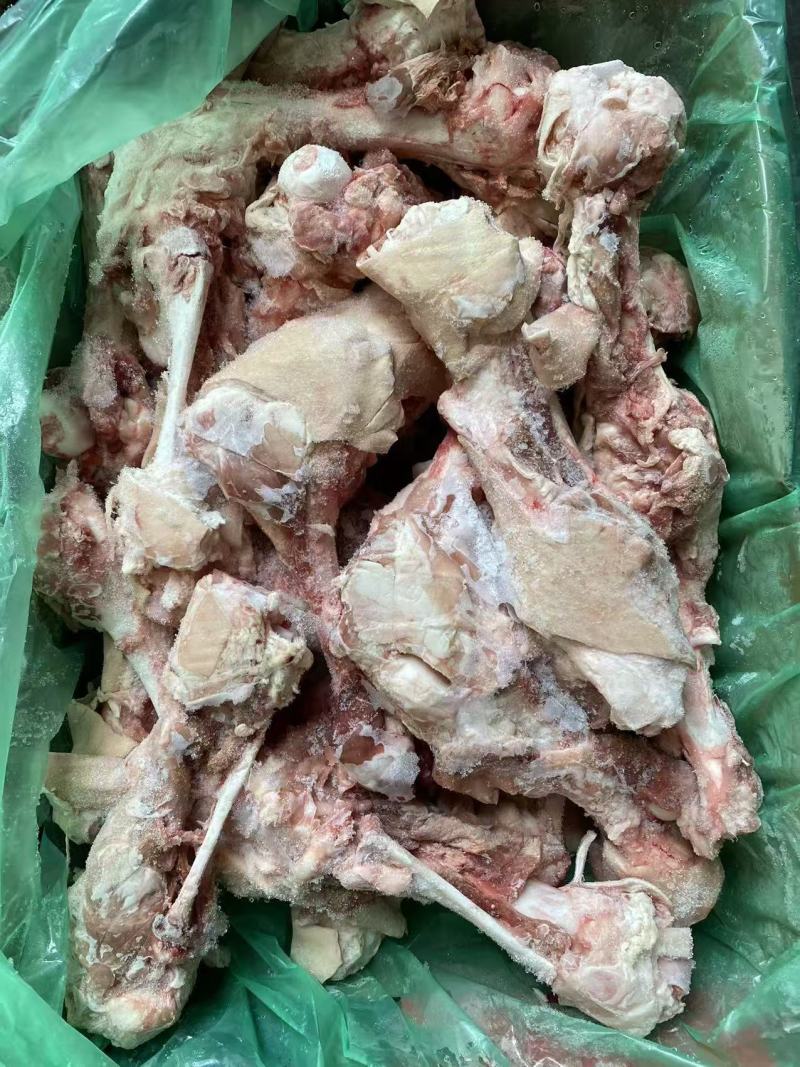 6001后腿骨