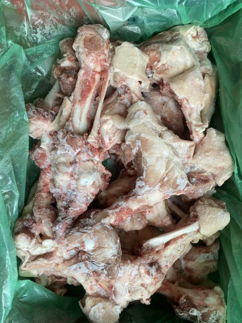 6001后腿骨