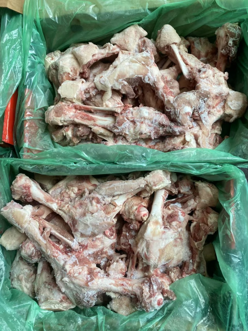 6001后腿骨