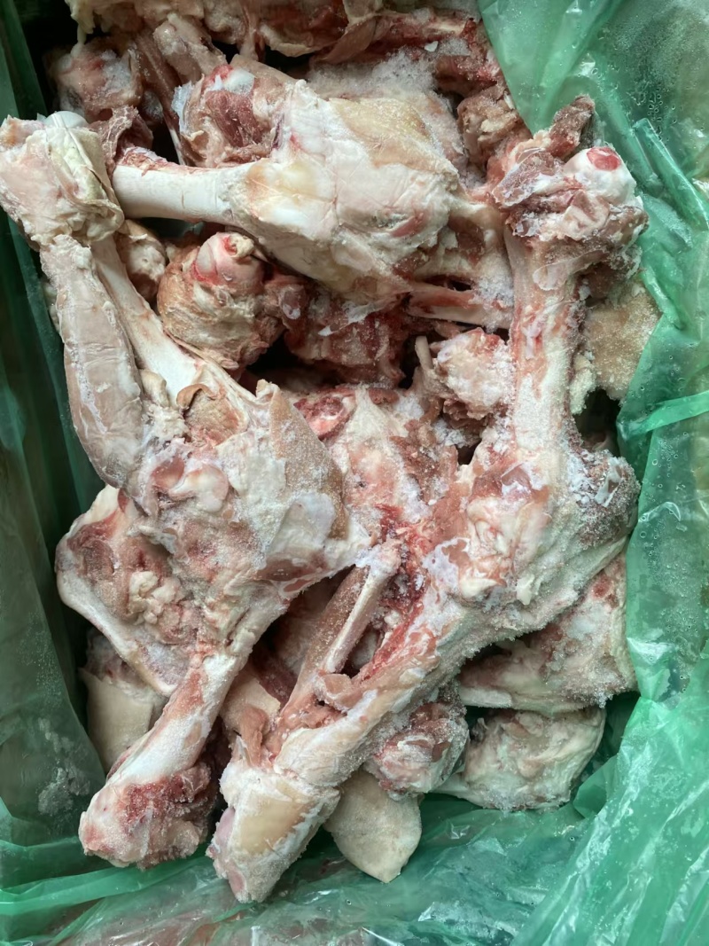 6001后腿骨