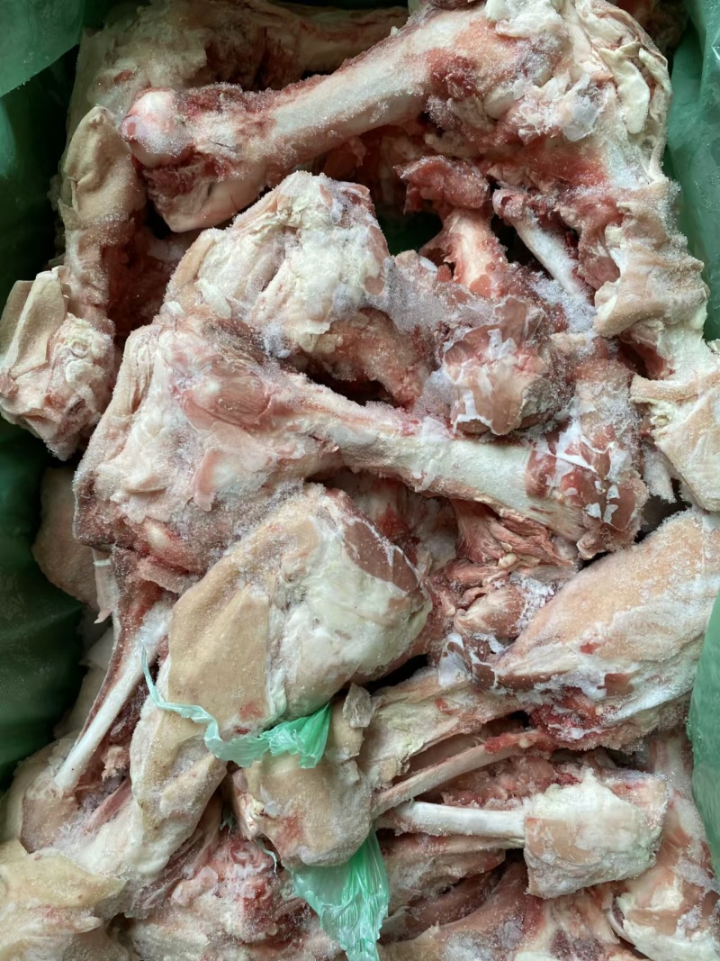6001后腿骨