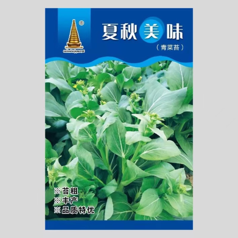 夏秋美味青菜苔种子中早熟品种抽苔整齐度高苔粗壮口感好抗病