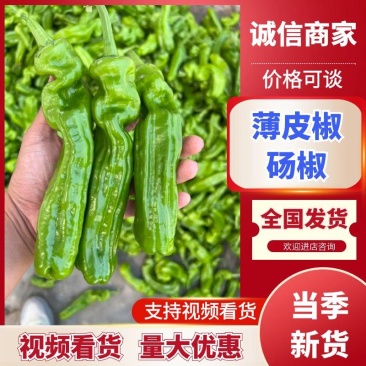 山东鲜辣椒对接全国市场电商商超薄皮椒砀椒精品青椒