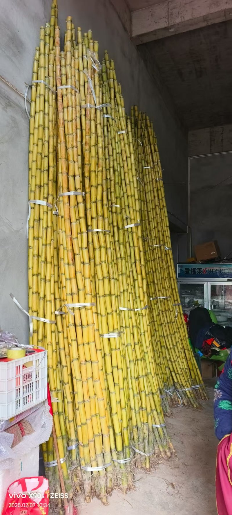 云南黄皮甘蔗大量上市中，一手货源视频看货欢迎致电