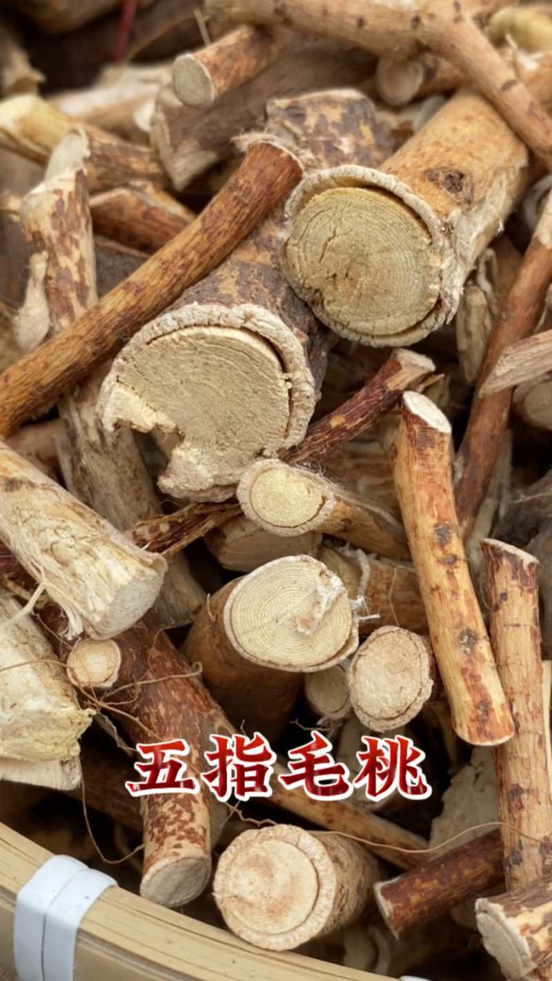 广西五指毛桃大量有货，一手货源视频看货欢迎致电