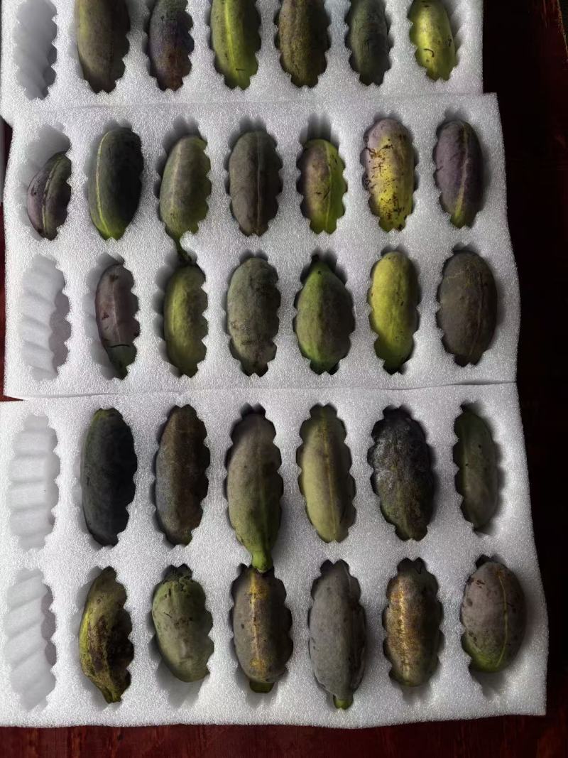 贵州的八月瓜已经成熟了，基本上都是4两以上的大果，支持一件代