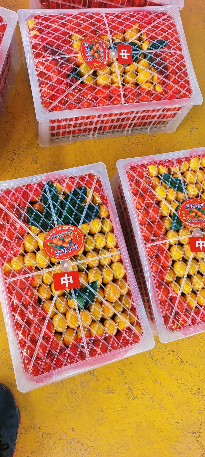 南丰蜜橘/大量上市/专业出口/对接商超/产地货源充足