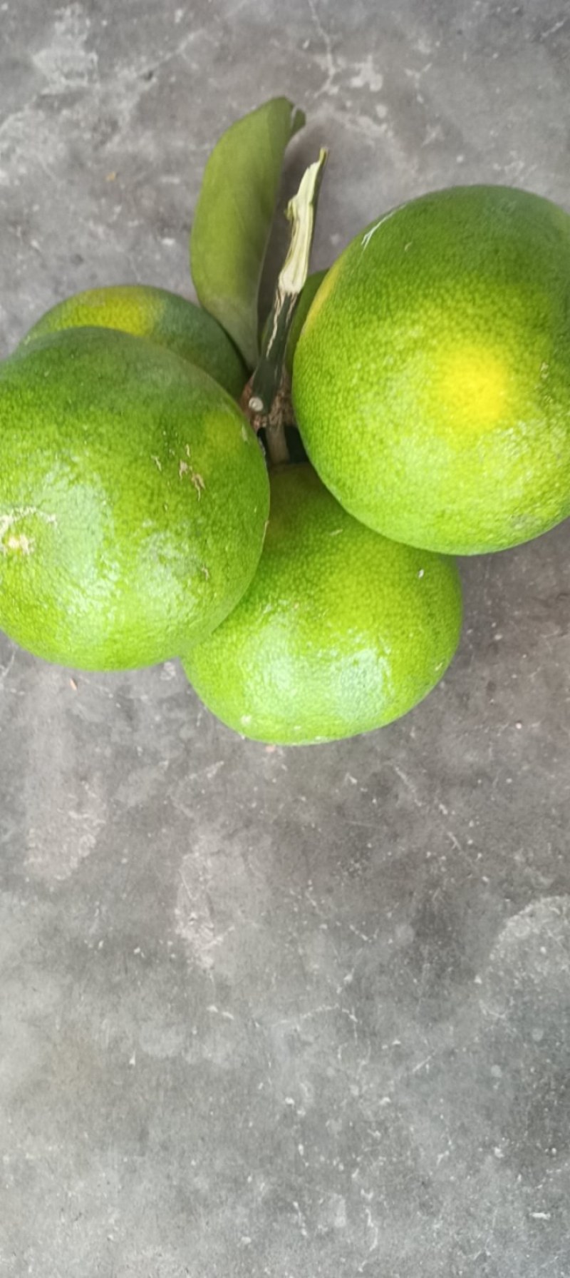欢迎各位老板前来骚扰包您满意