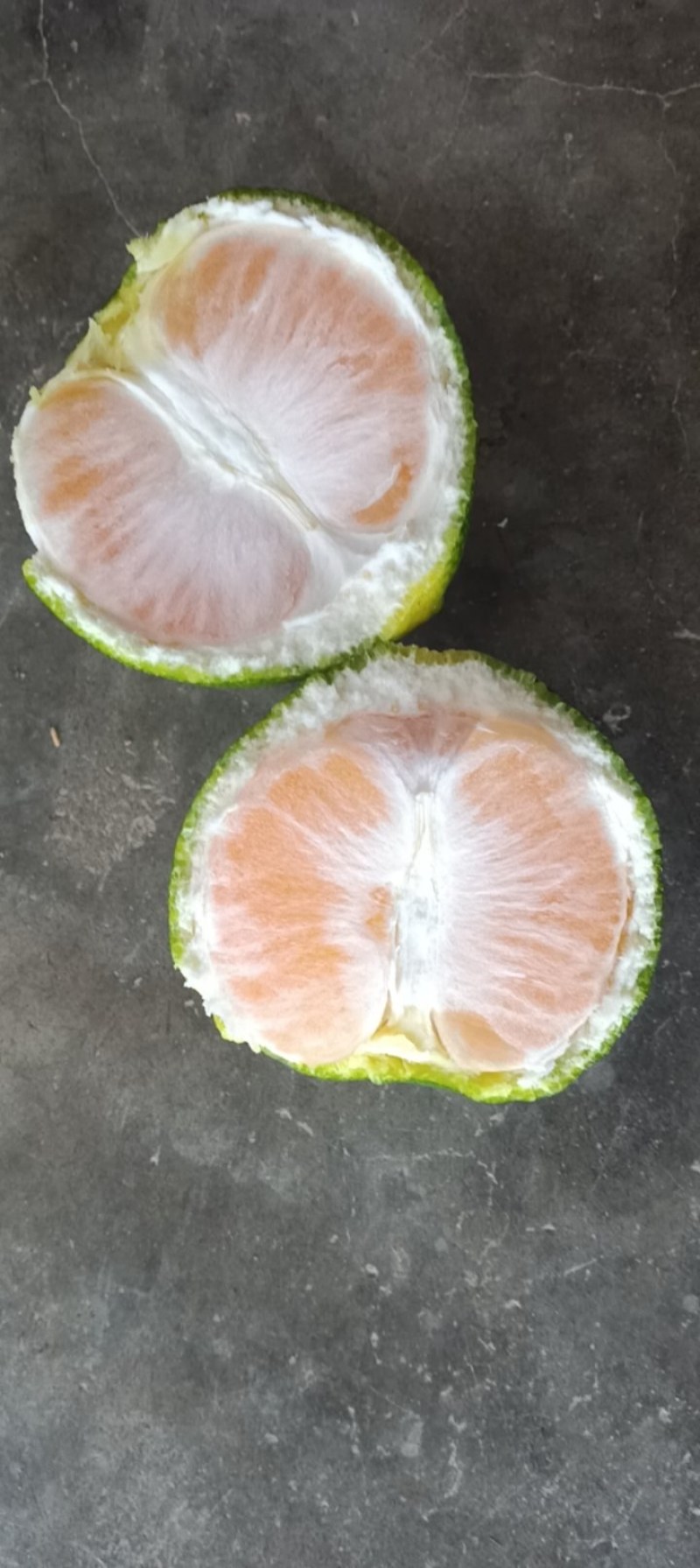 欢迎各位老板前来骚扰包您满意