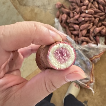 冰淇淋红薯，一点红红薯