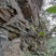 广东粤北野生土蜂蜜一年只采一次，只有200斤左右