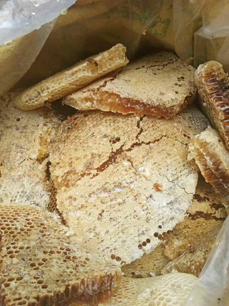 广东粤北野生土蜂蜜一年只采一次，只有200斤左右