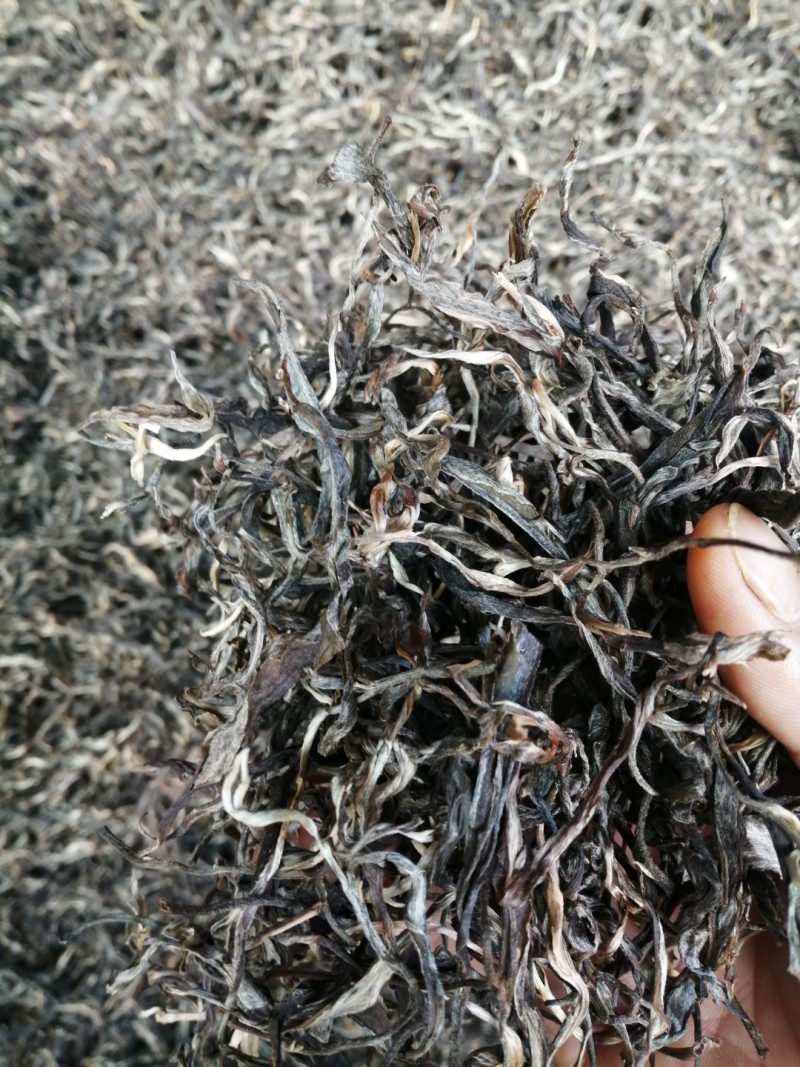 台地茶普洱茶晒青