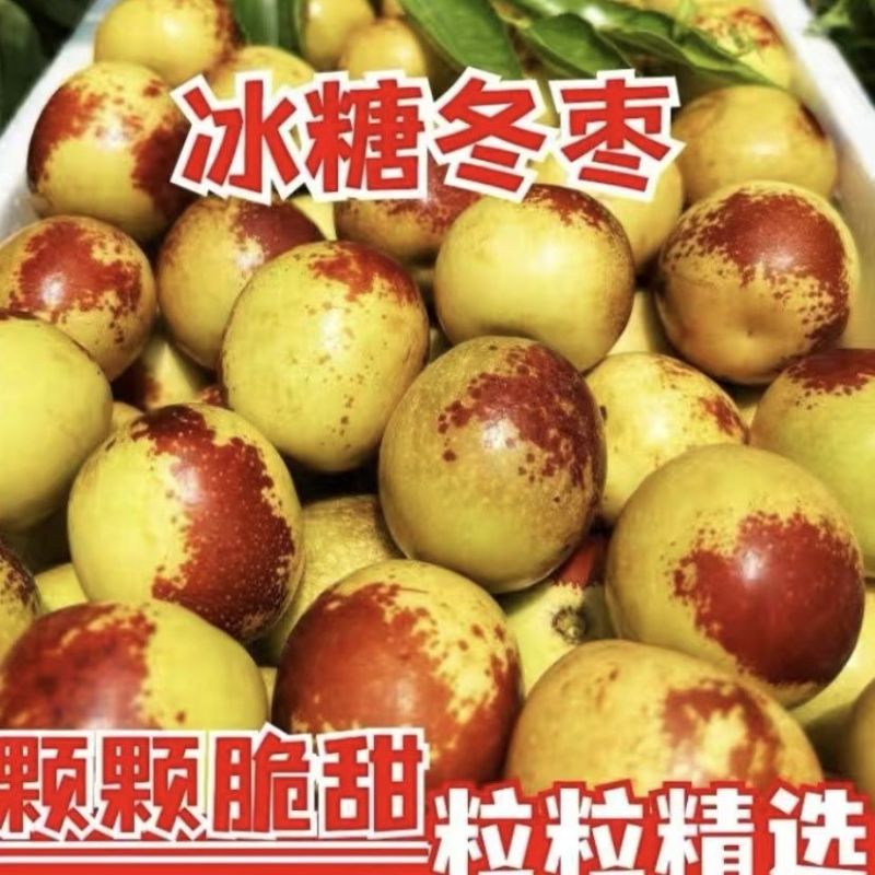 《万人合作商》山东冬枣可一件代发对接商超电商团购一条龙