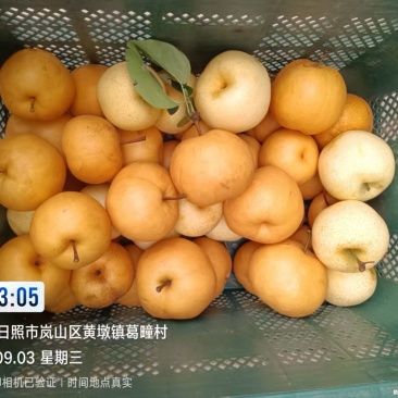 梨