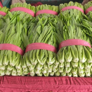 精品油麦
