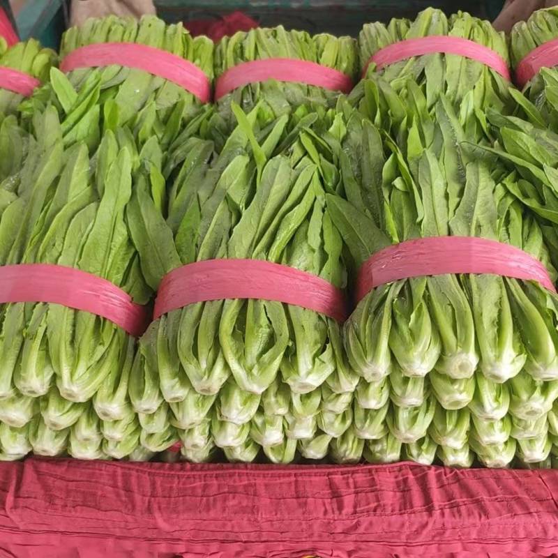 精品油麦