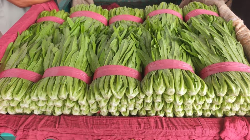 精品油麦
