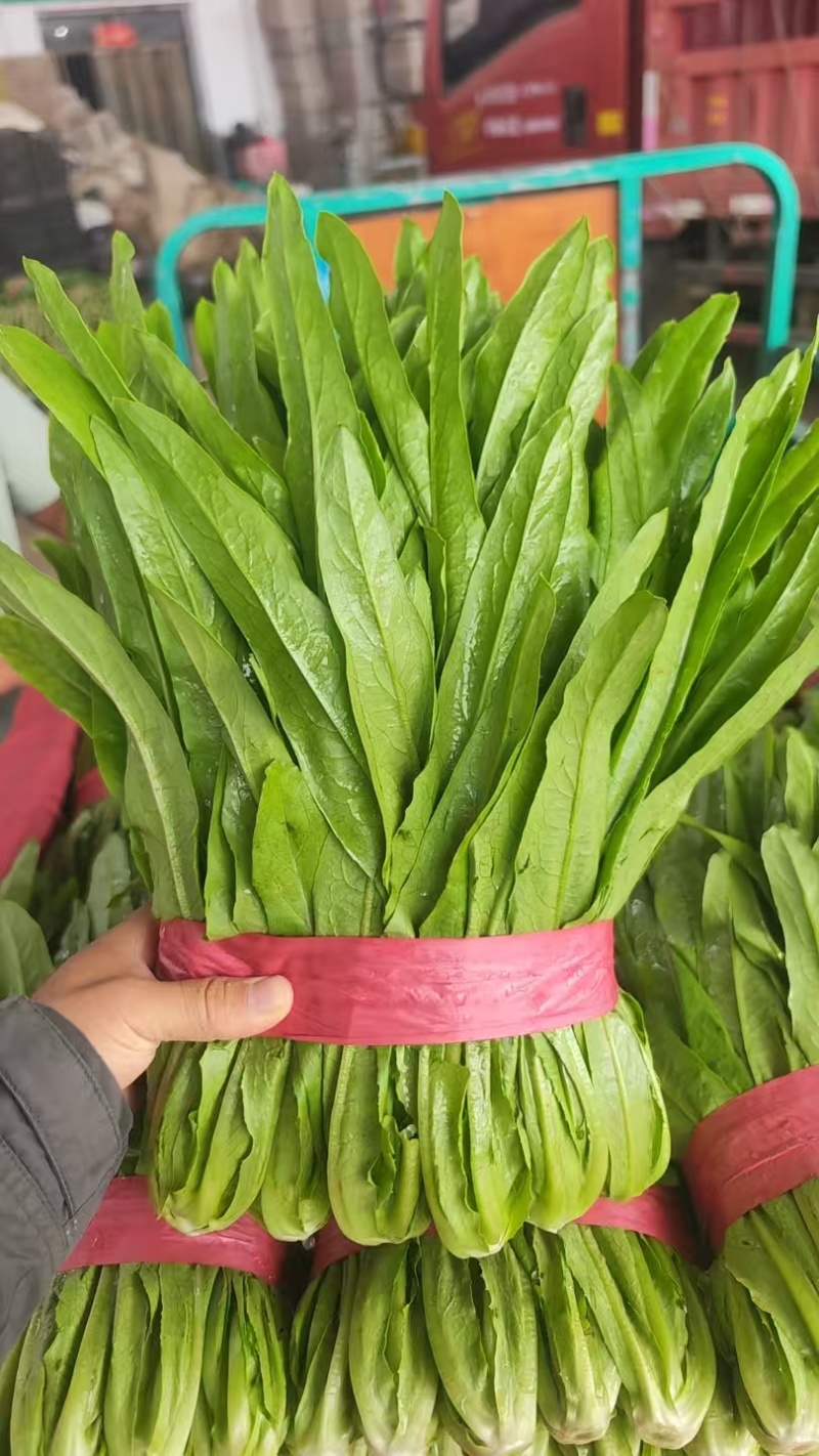 精品油麦