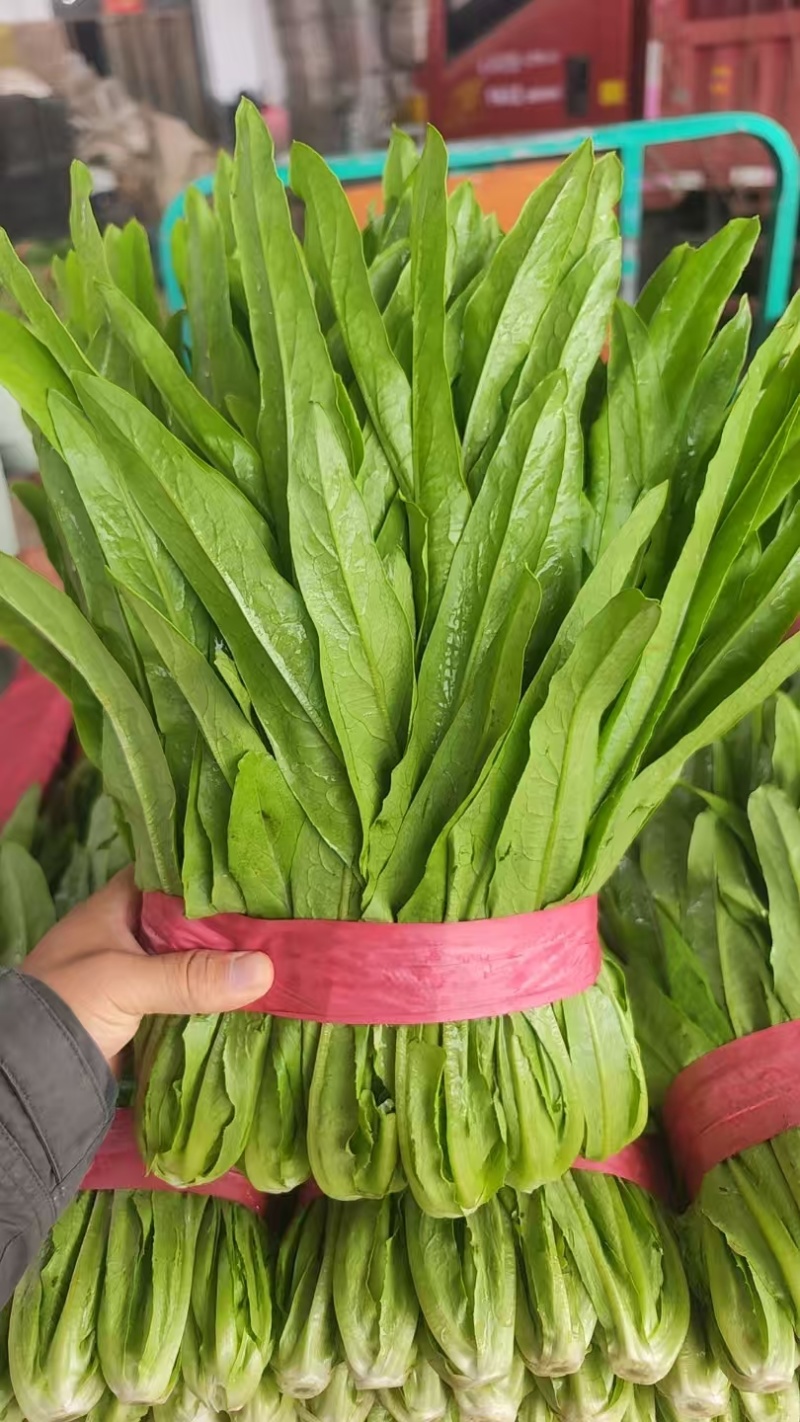 精品油麦