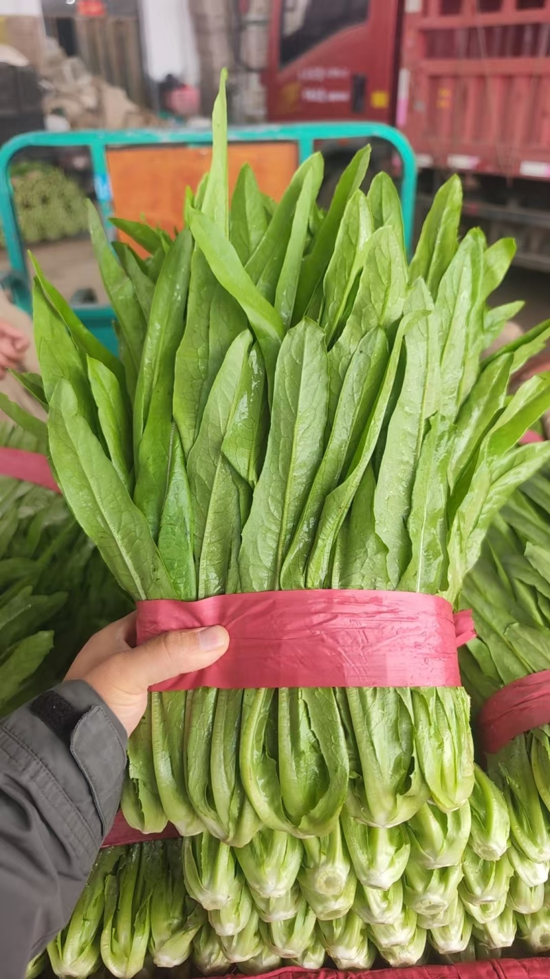 精品油麦