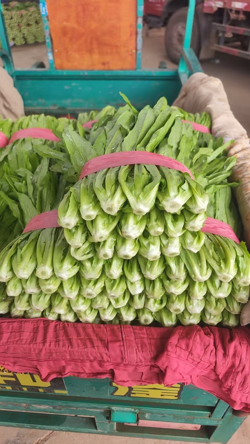 精品油麦