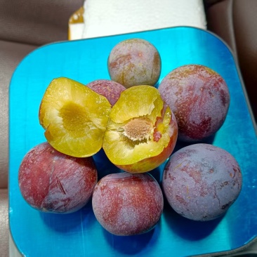 脆红李