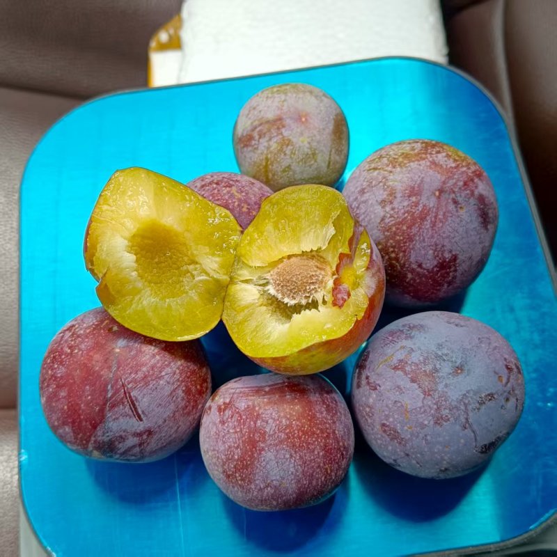 脆红李