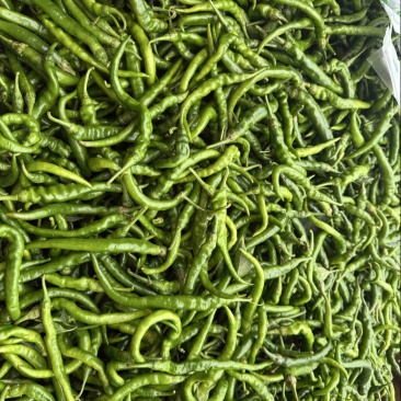 二荆条翻花辣椒