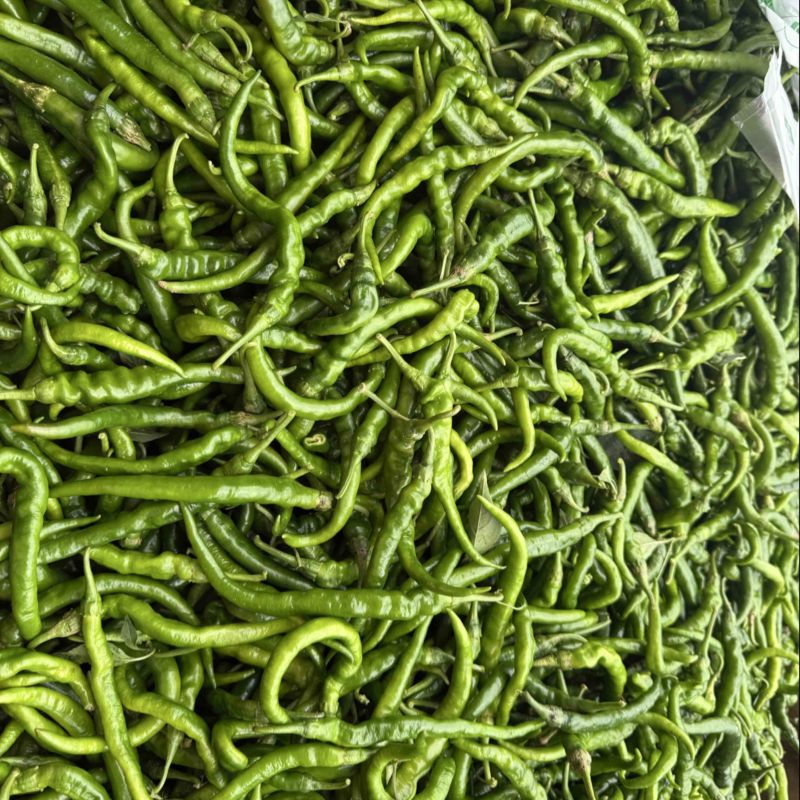 二荆条翻花辣椒