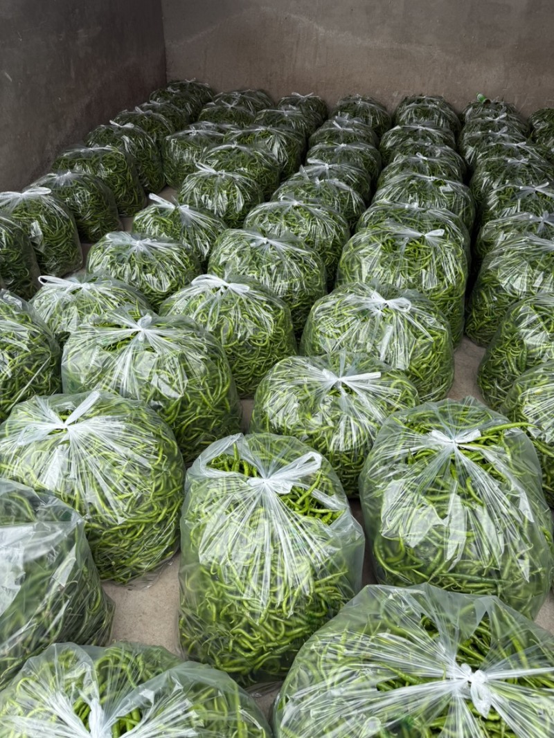 二荆条翻花辣椒