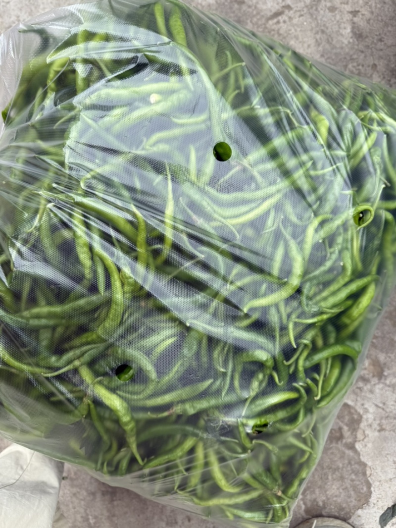 二荆条翻花辣椒