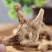 白芨批发正宗天然干货三叉白芨正品白芨新鲜现挖中药材煲