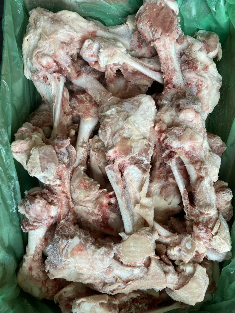 6001后腿骨