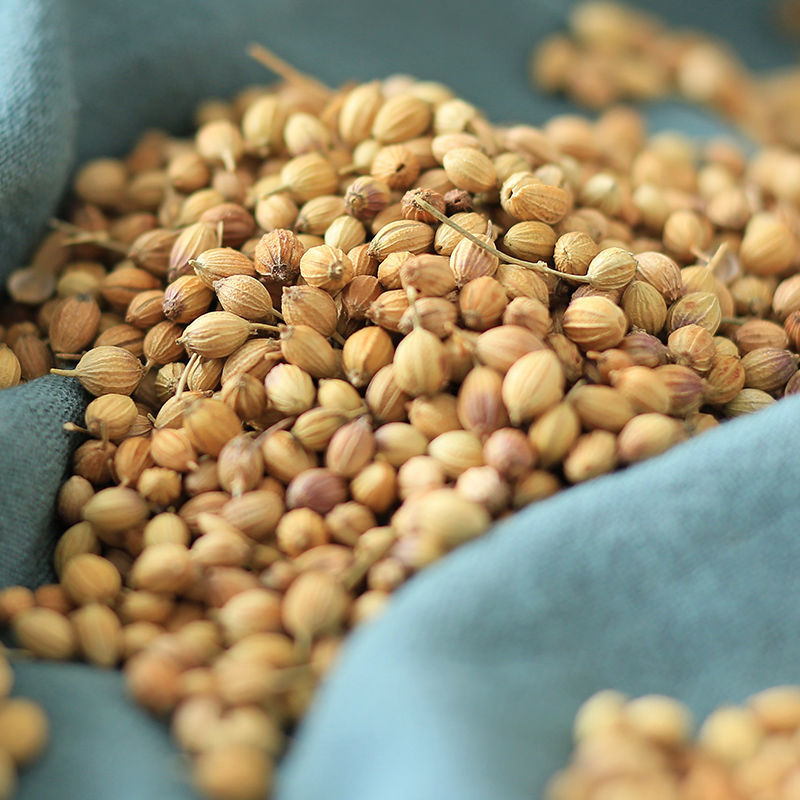 新货香菜籽芫荽子芫茜孑香菜籽胡荽籽香料调味卤料调味料批发