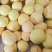 梅州安乐三红/红心柚（通货）