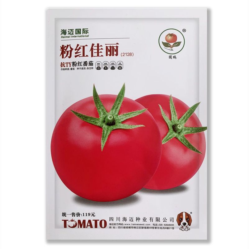 粉红佳丽番茄种子大果粉果抗YT中早熟高产抗病强硬果西红柿