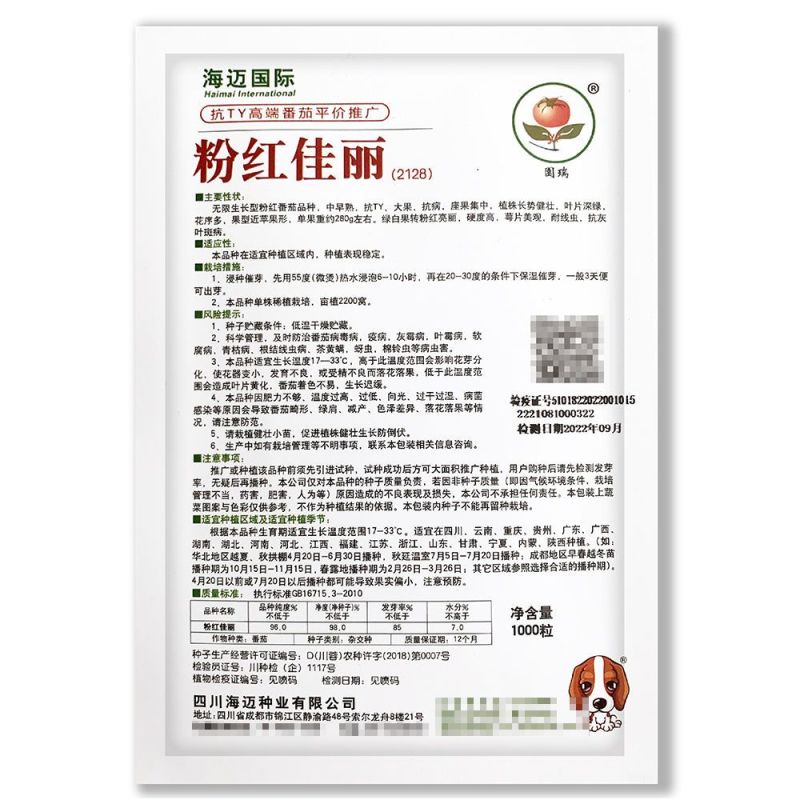 粉红佳丽番茄种子大果粉果抗YT中早熟高产抗病强硬果西红柿
