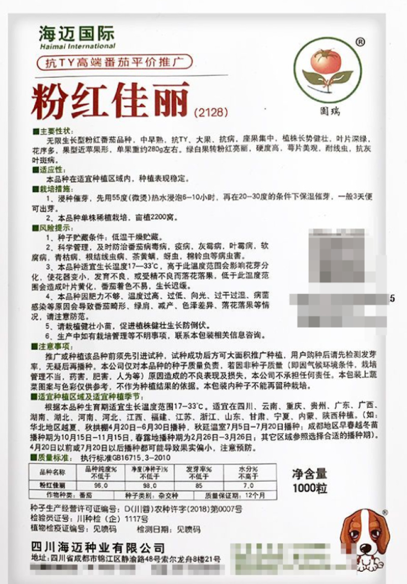 粉红佳丽番茄种子大果粉果抗YT中早熟高产抗病强硬果西红柿