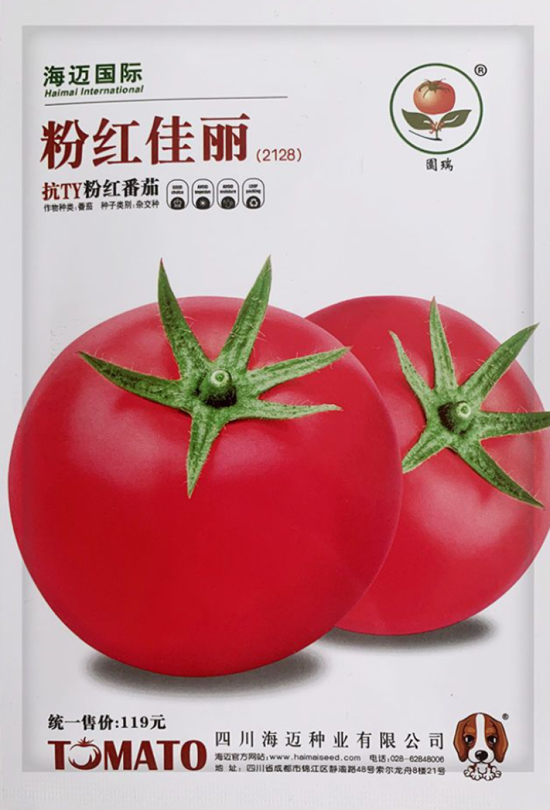 粉红佳丽番茄种子大果粉果抗YT中早熟高产抗病强硬果西红柿