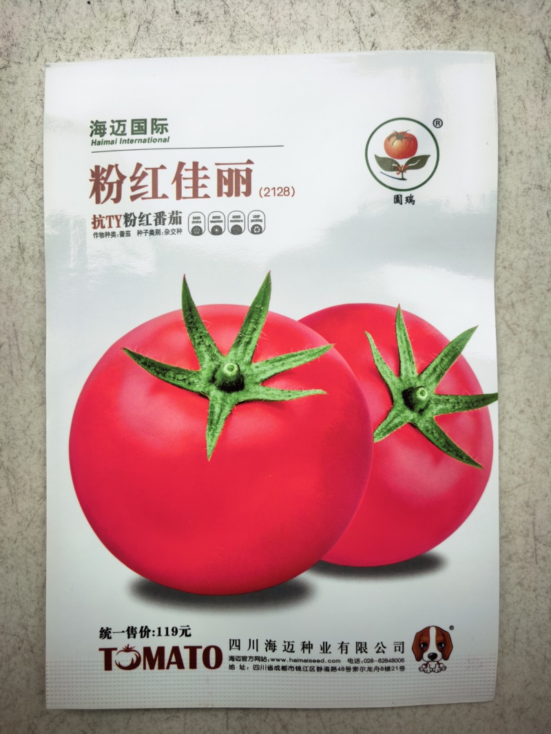 粉红佳丽番茄种子大果粉果抗YT中早熟高产抗病强硬果西红柿