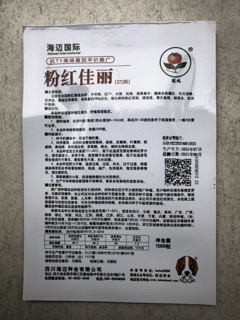 粉红佳丽番茄种子大果粉果抗YT中早熟高产抗病强硬果西红柿