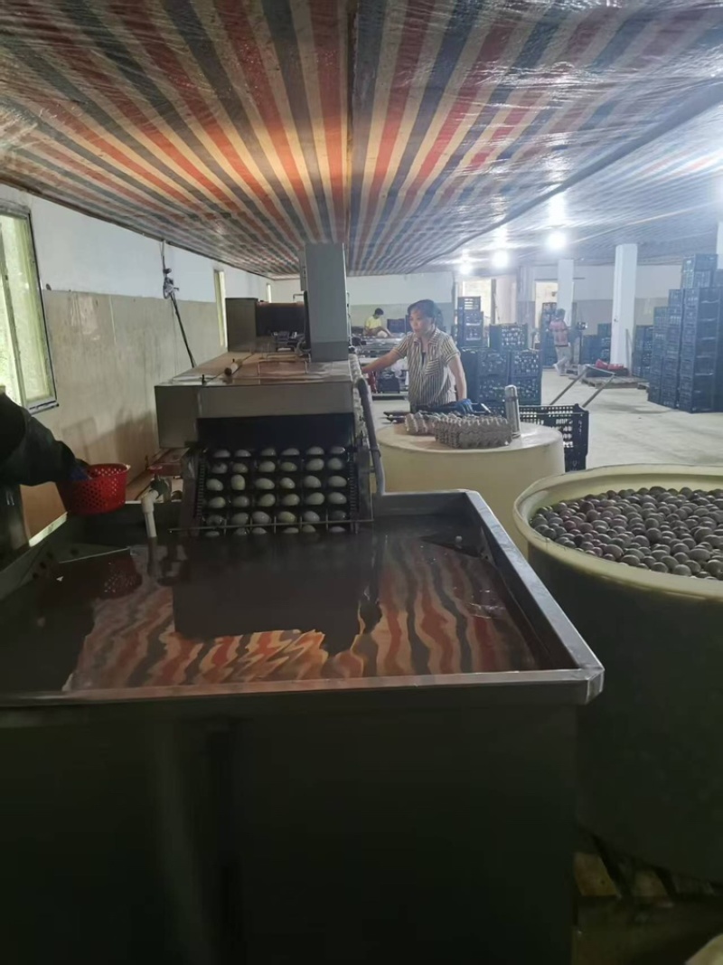 松花蛋鸭皮蛋大量上市，厂家直销，量大价从优有意者电联