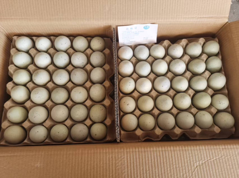 松花蛋鸭皮蛋大量上市，厂家直销，量大价从优有意者电联