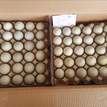 松花蛋鸭皮蛋大量上市，厂家直销，量大价从优有意者电联