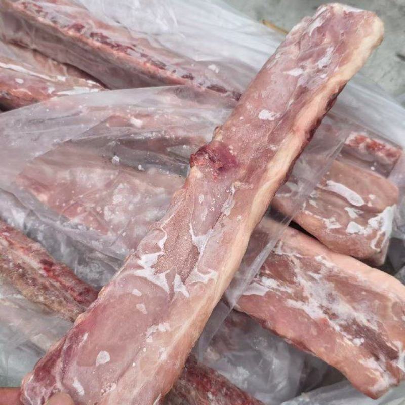 肥猪多肉龙骨