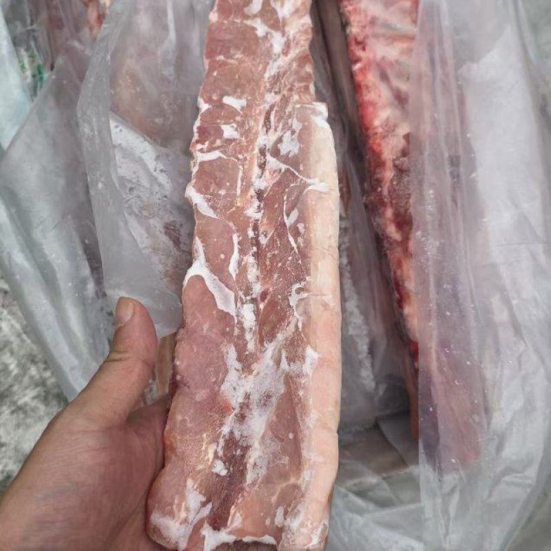 新到肥猪多肉龙骨，颜色鲜艳，工厂直销，量大从优