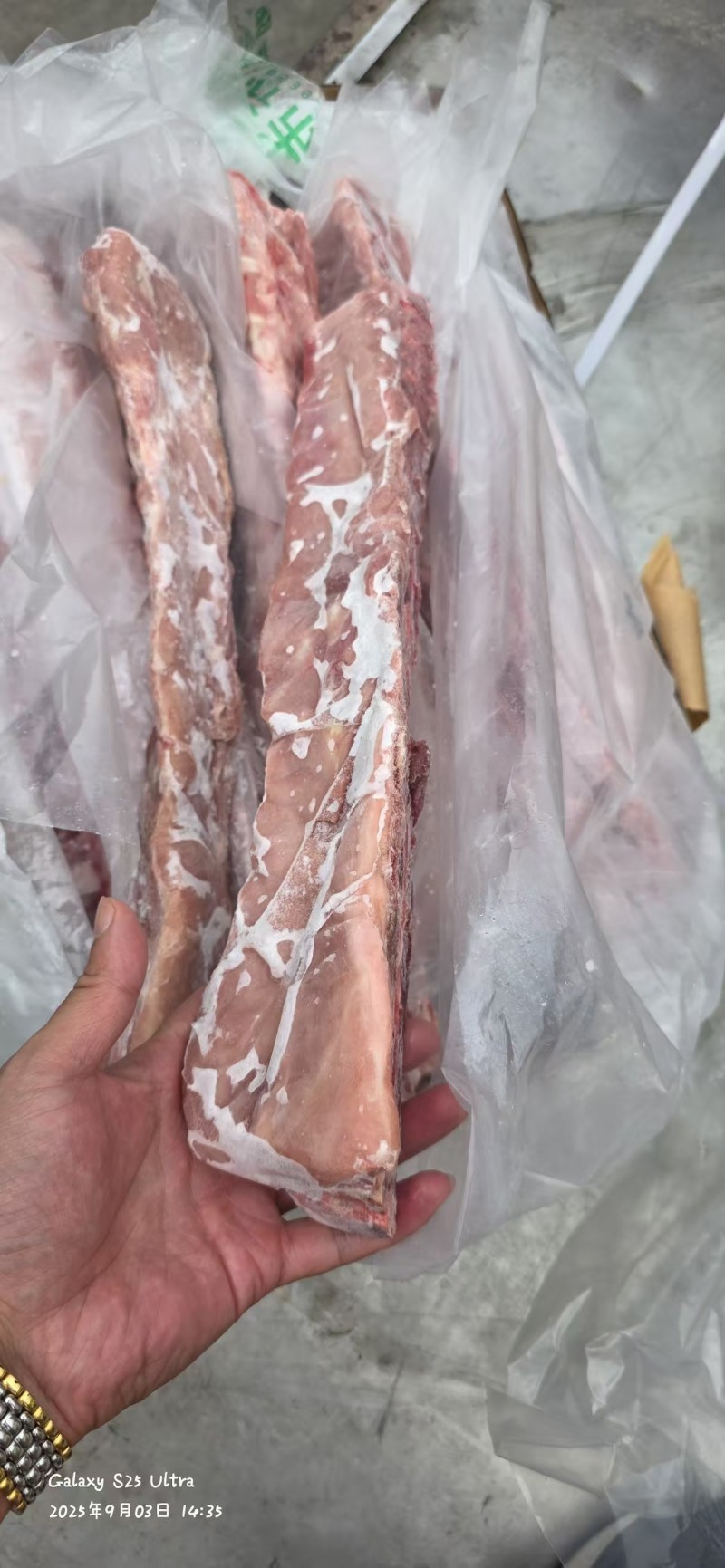 新到肥猪多肉龙骨，颜色鲜艳，工厂直销，量大从优