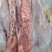 新到肥猪多肉龙骨，颜色鲜艳，工厂直销，量大从优